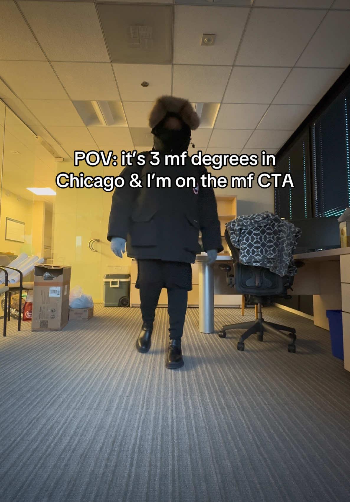 Truly going up this hill to save my mf marriage *job* #chicago #canadagoose #telfar #freezing #fyp @TELFAR @CanadaGoose @Tylerperryy 