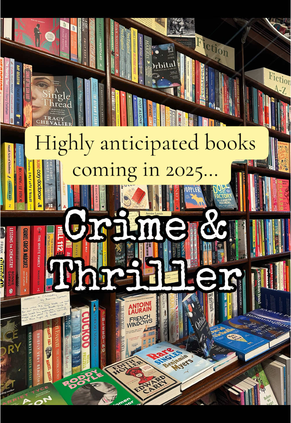 Crime and Thriller readers… get ready for 2025! I’m so excited for these books to be published. Which ones are you looking forward to?  @Ravena Guron @Lisa Jewell @Holly Jackson @Freida Mcfadden #richardosman #leechild #sharilapena #alicefeeney #stephenking #crimebooks #thrillerbooks #books2025 #newbooks