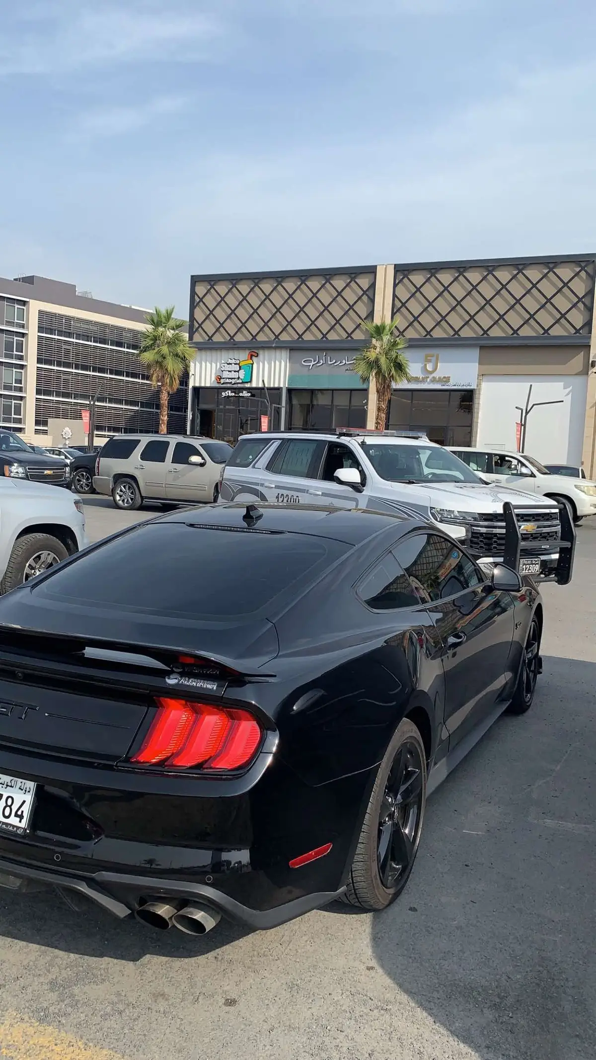 #mustang #10R80 #fyp #explore #6r80 #الشعب_الصيني_ماله_حل😂😂 #kwt #فراق #شوارع_الكويت🇰🇼 