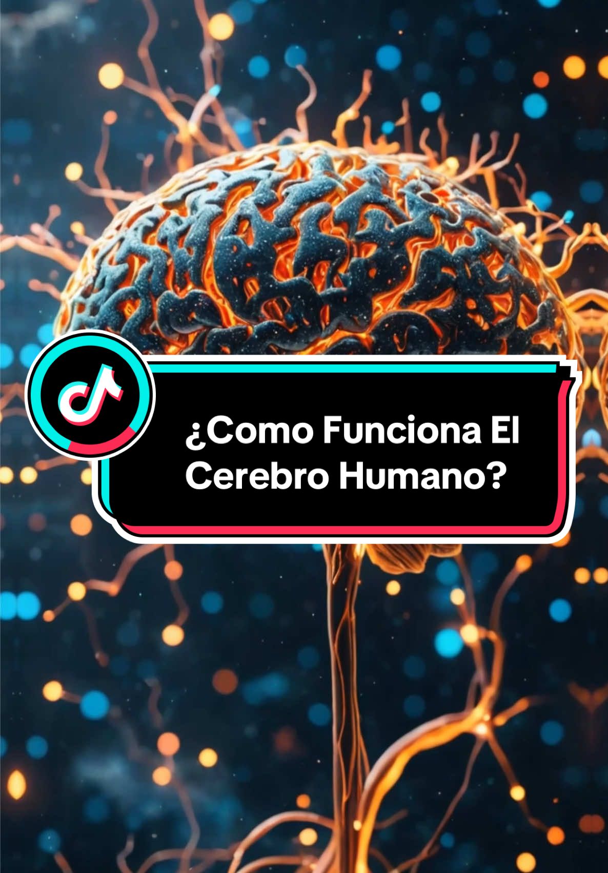 El cerebro: la central eléctrica del cuerpo. #cerebro #neuronas #educacion #humor #ciencia 