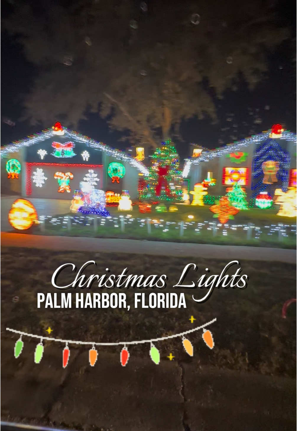 Christmas through your kids eyes doesn’t get any sweeter. 🌲🎅🎁 #christmaslights #christmastour #christmaslight #christmasdecorations #floridalife #palmharbor #tampabay #indiantrails #neighborhoodchristmaslights 