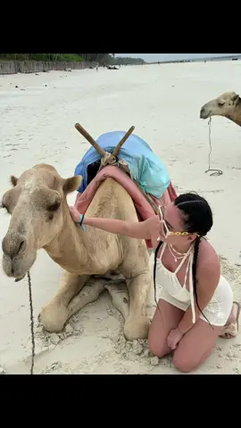 #safari #africa #kenya #animals #sea #sun 