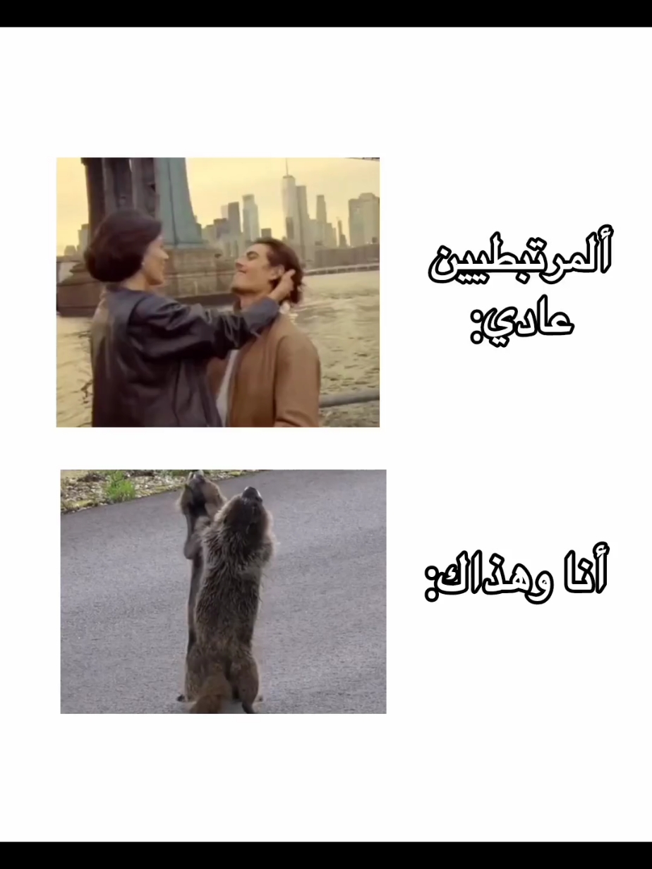 حُبنا غيررر، 🙈 #fyp #اكسبلور #funny