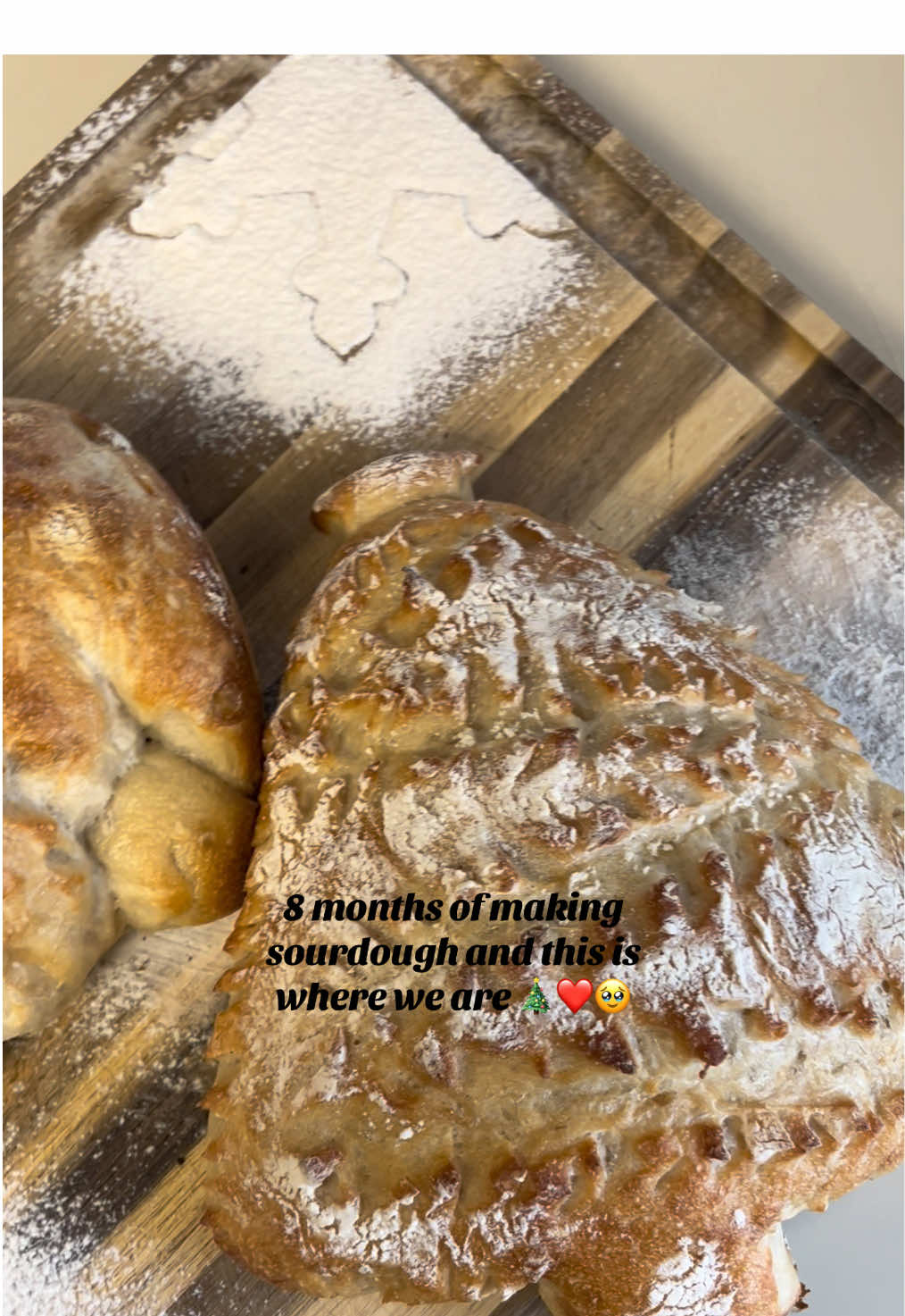 Just try and if you fail, try again! Just keep going 🥖#breadtok #sourdoughjourney #sourdough #holidays #joy #trending #FoodTok #christmas2024 #happyholidays #christmastree #santagnome #hobby #dontgiveup #happy #inspiring #fyp #viral #MomsofTikTok #sourdoughstarter #sourdoughtok #homestead #cottagebaker #smallbaker #baking #bakingtiktok #bakingseason #winter #december