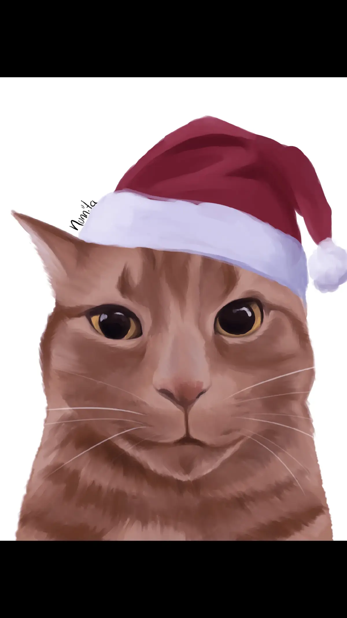 Continuando con los gatos navideños... #fyp #catsoftiktok #parati #drawing #digitalartist #foryou #catlover #digitalart #cats 