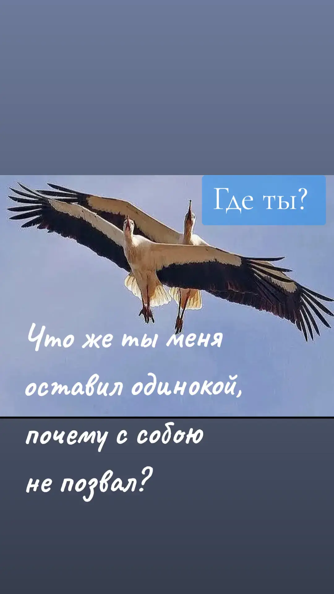 #императрица💥 #прекрасноесегодня #гдеты @Солнышко мое @Счастье в руки не поймаешь 