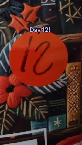Day 12 of @Love, Dreams & Bookish Things bookish advent calendar! 🎁 #adventcalendar #holidaycountdown #bookishthings #unboxing #holiday #christmas #BookTok #tiktokshopfinds #catsoftiktok 