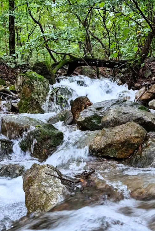 Calm valley 🍀💦 #naturevibes #nature #valley #forest #calm #calmdown #relax #livewallpaper #koreatravel 