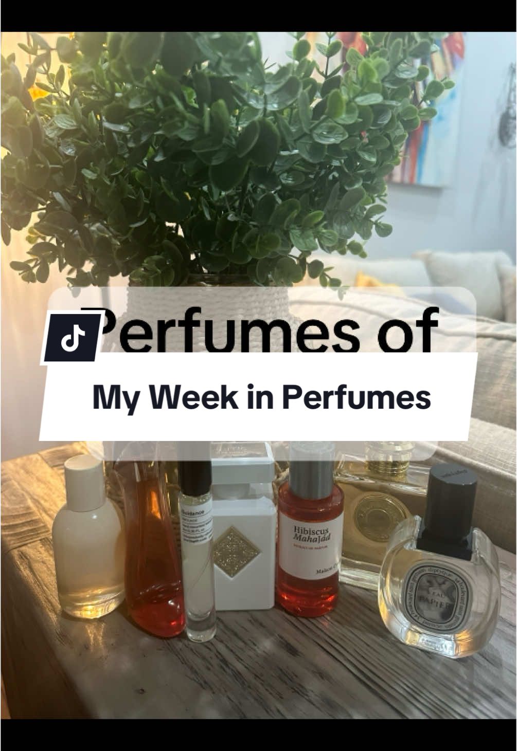 What was your favorite perfumes this week? #perfumetok #perfumetiktok #fragrancelover #perfumeaddict #perfume2024 #nichefragrance @Maison Crivelli @INITIO Parfums Privés @Burberry @diptyque Paris @AMOUAGE @Carolina Herrera @Glossier 