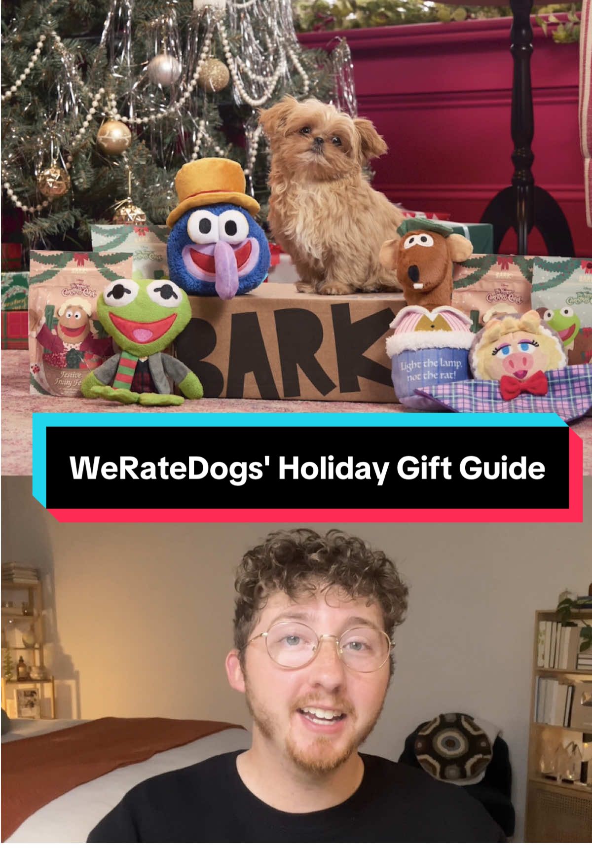 your dog deserves every one of these tbh 🎁 #weratedogs 