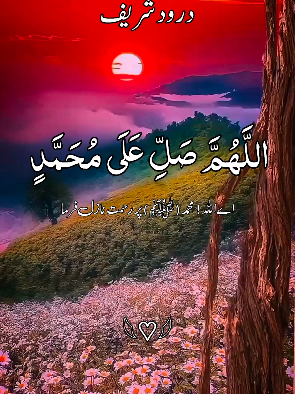 🎧🥀🌻درود شریف🌻🥀🎧  #راحه_نفسيه_القرآن_الكريم،🌷🌷 #درودِ_پاک_کثرت_سے_پڑھیں📿 #ارح_قلبك_المتعب_قليلاً🤍💫 #🥀🌹🥀 #foryoupage❤️❤️ #growmyaccount✅ #growmyaccount✅♥️♥️♥️ #growmyaccount✅💯 #viral #foruyou #forupage #grow #foru #راحة_نفسية #🥀🌹🥀 #🥀🌹🥀 #foru @tiktok creators @TikTok @TiktokPakistanOfficial @TikTok UK @tiktokglobal 