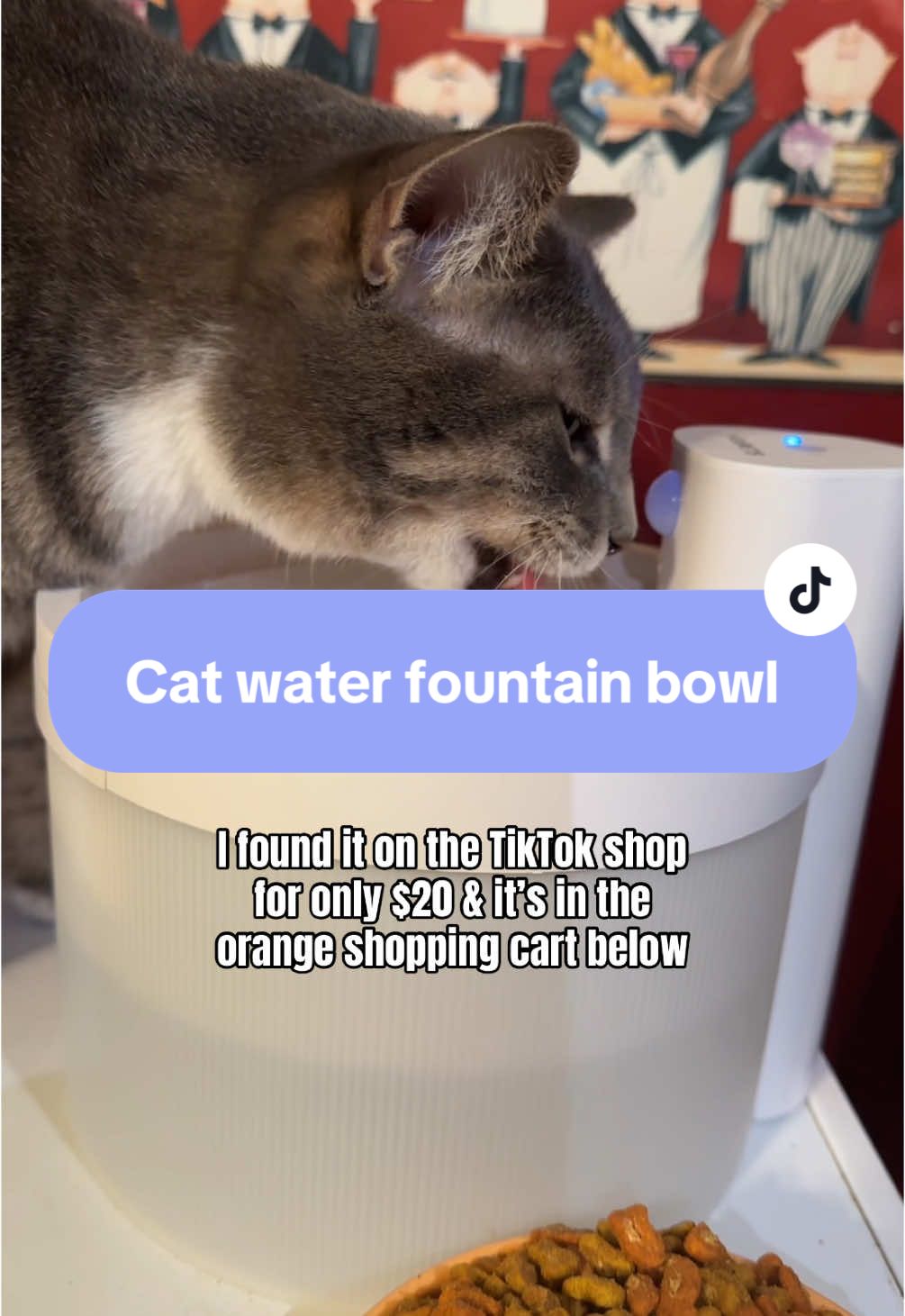 My cat loves his fountain water bowl! @Heapets Official #heapets #petwaterfountain #waterbowl #filteredwaterbowl #catfountain #waterdish #petstuff #catsoftiktok #catstuff #catessentials 