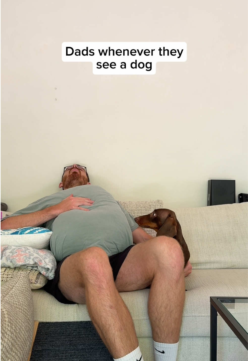 Why do they all do this? 🤷🤷‍♀️🤷🏼‍♂️ #dads #dadsoftiktok #dachshund #sausagedog #dogdad