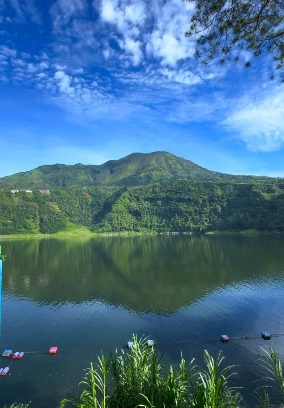 Berhenti sejenak, lalu melangkah kembali. #bukitcintawonosobo #telagamenjer #wonosobo #dieng #pariwisatawonosobo #pesonaindonesia #wonderfulindonesia 