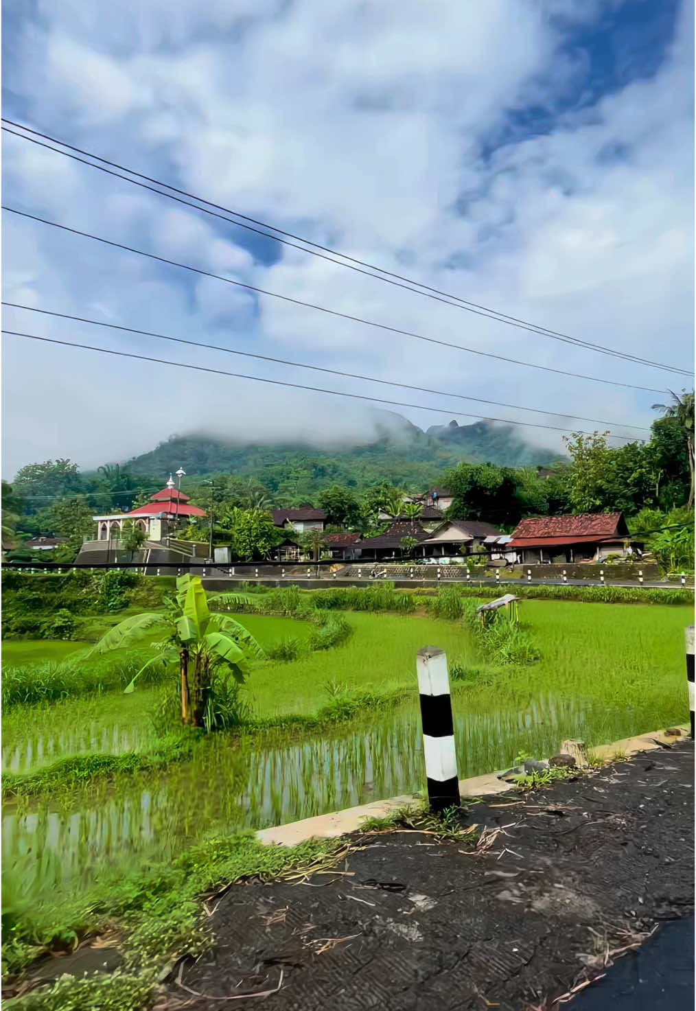 Sejukk pol🤙🏻                                            #gunungkidul #fypシ゚ #xybca #wonosari24jam #gunungkidul24jam #jogja24jam #gedangsari #fyppppppppppppppppppppppp 