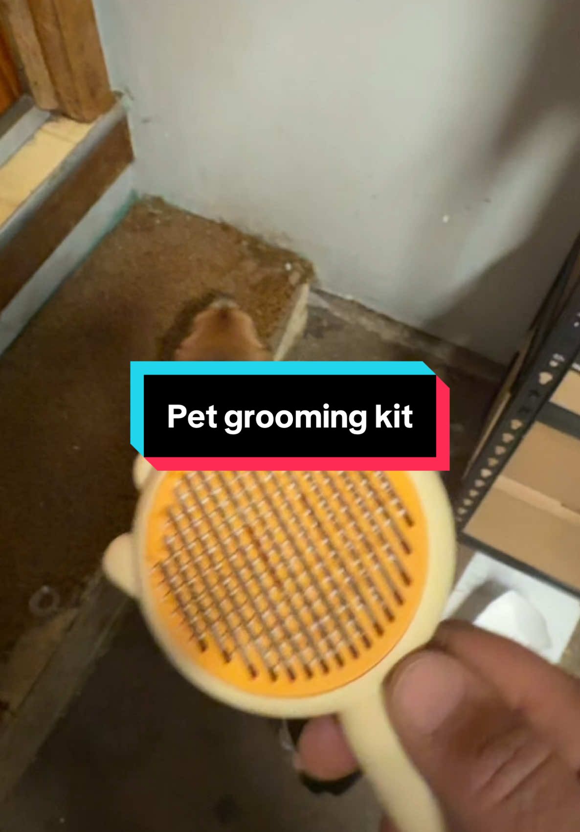 Pet grooming set #pets #grooming #hair #shedding 