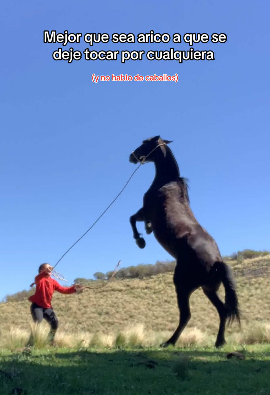 Achachay q linda la oscura😍#campoargentino #fyppppppppppppppppppppppp #campo #fyp #caballos #negra #paratiiiiiiiiiiiiiiiiiiiiiiiiiiiiiii 