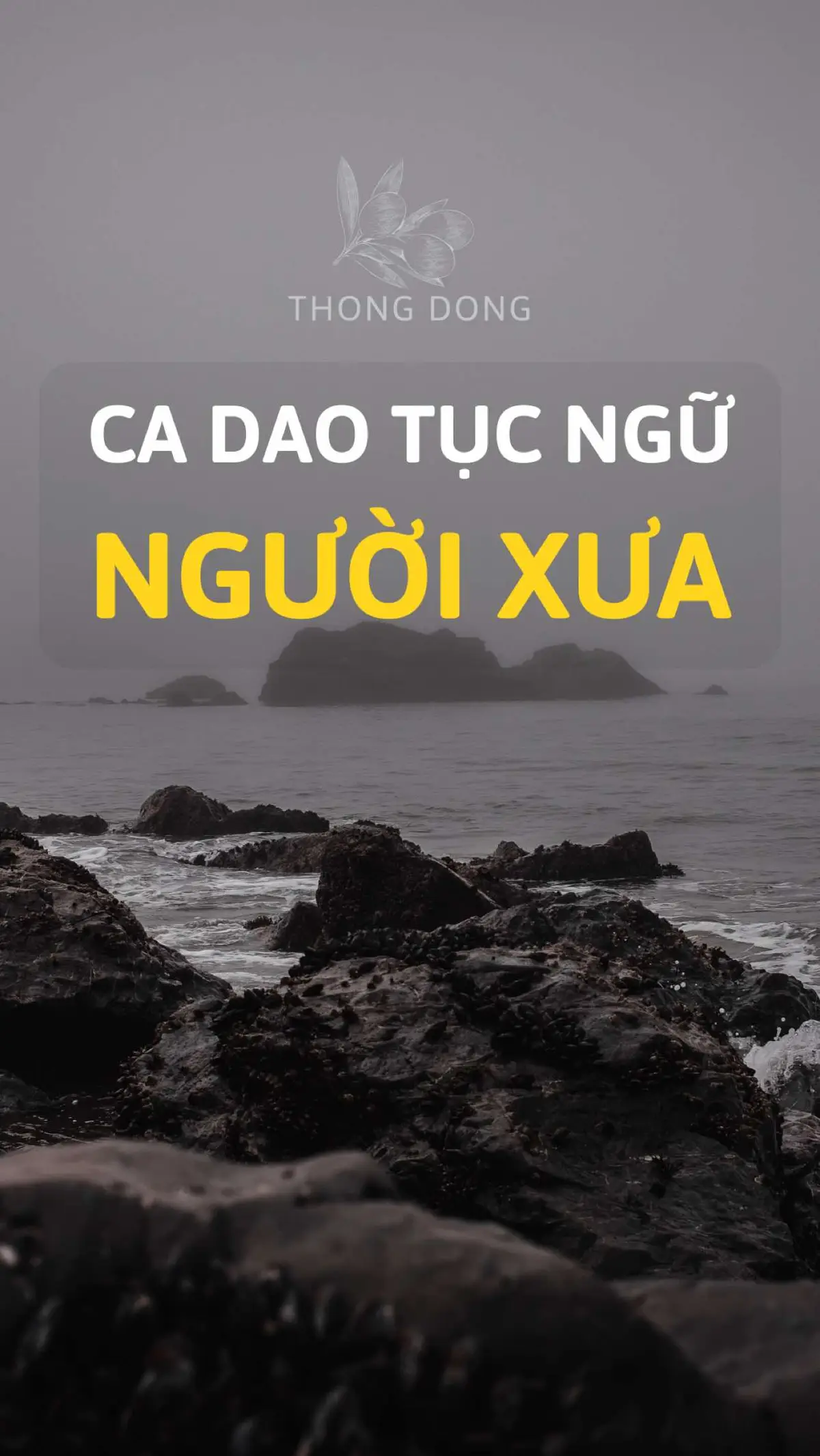 Cá trê cạo nhớt để kì Đàn ông râu trụi còn gì là duyên #tiemsachthongdong  #LearnOnTikTok  #kinhnghiemsong  #phattrienbanthan  #baihoccuocsong 