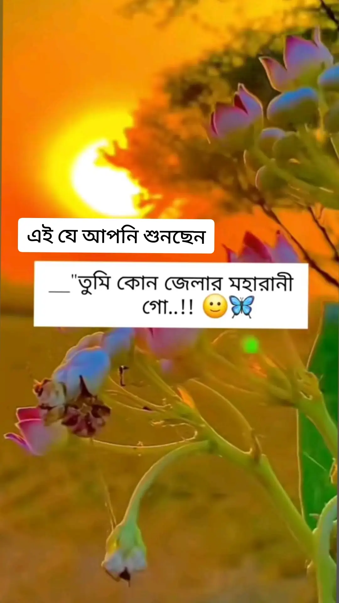 তুমি কোন জেলায় মহারানী গো 👰😍👀#🇧🇩💔🇲🇾 #foryoutiktok #viralvideo #banglsong_tiktok #bdtiktokofficial #😔🥺😭☀️☀️☀️ 