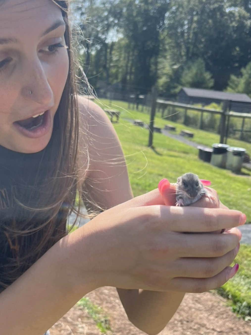 I caught him and then he bit me #farm #farmlife #mouse #mice #cute