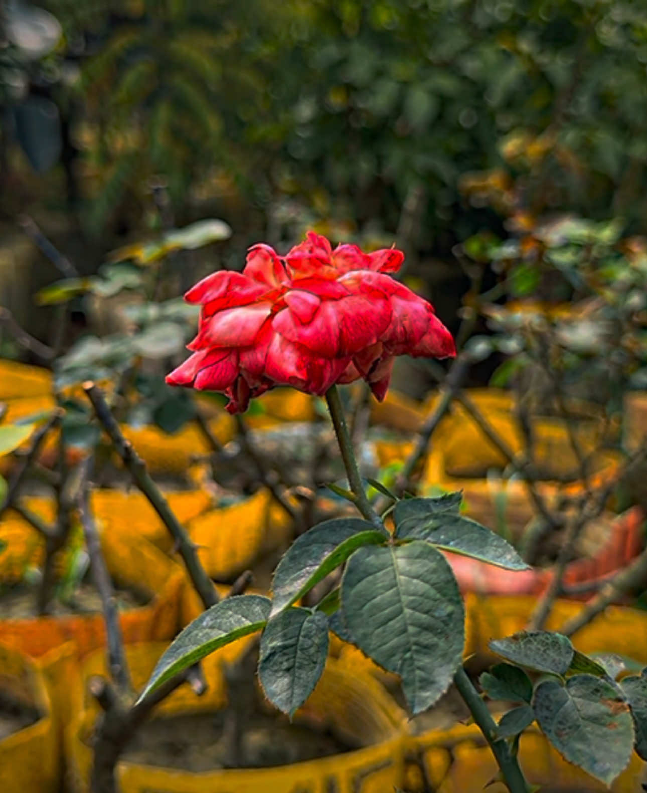 -থাকুক না সে কল্পনাতে, কিসের এত কষ্ট.?ভালোবাসলে কি পেতেই হবে.? অনুভব ই যথেষ্ট😅💔❤️‍🩹..!! #foruyou #foryoupagе #edit #cinematik #vediography #team_of_fx #vairal @TikTok Bangladesh @TikTok