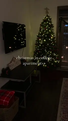 our apartment is so classy and cozy🥰 @Jadyn #christmas #christmasapartment 