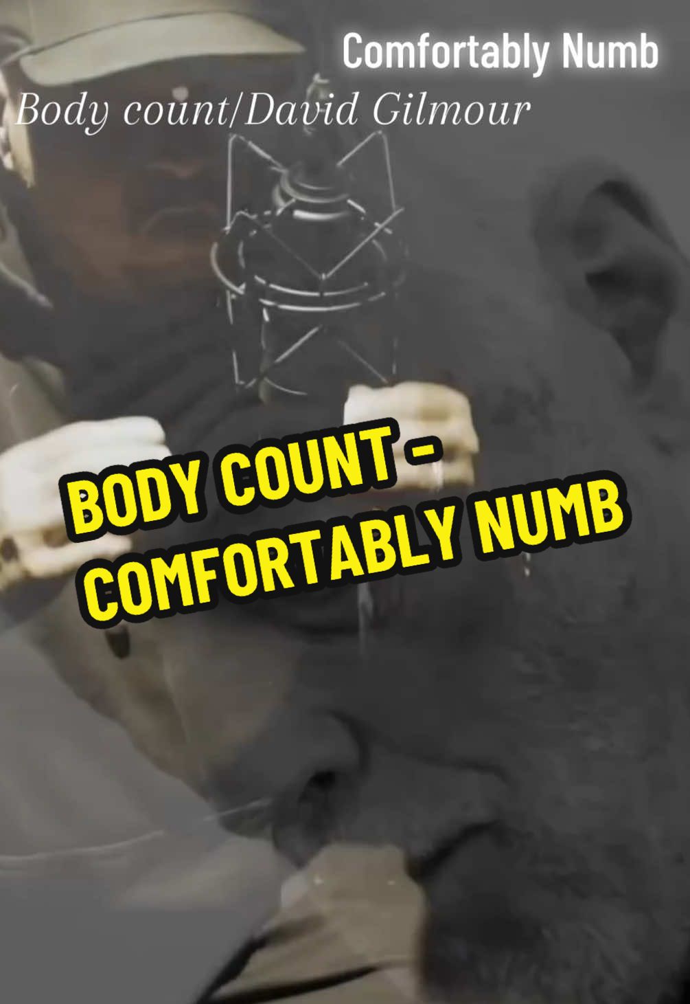 Comfortably numb - Merciless - 2024 - Body count/ David Gilmour #comfortablynumb #merciless #bodycount #davidgilmour #icet #2024