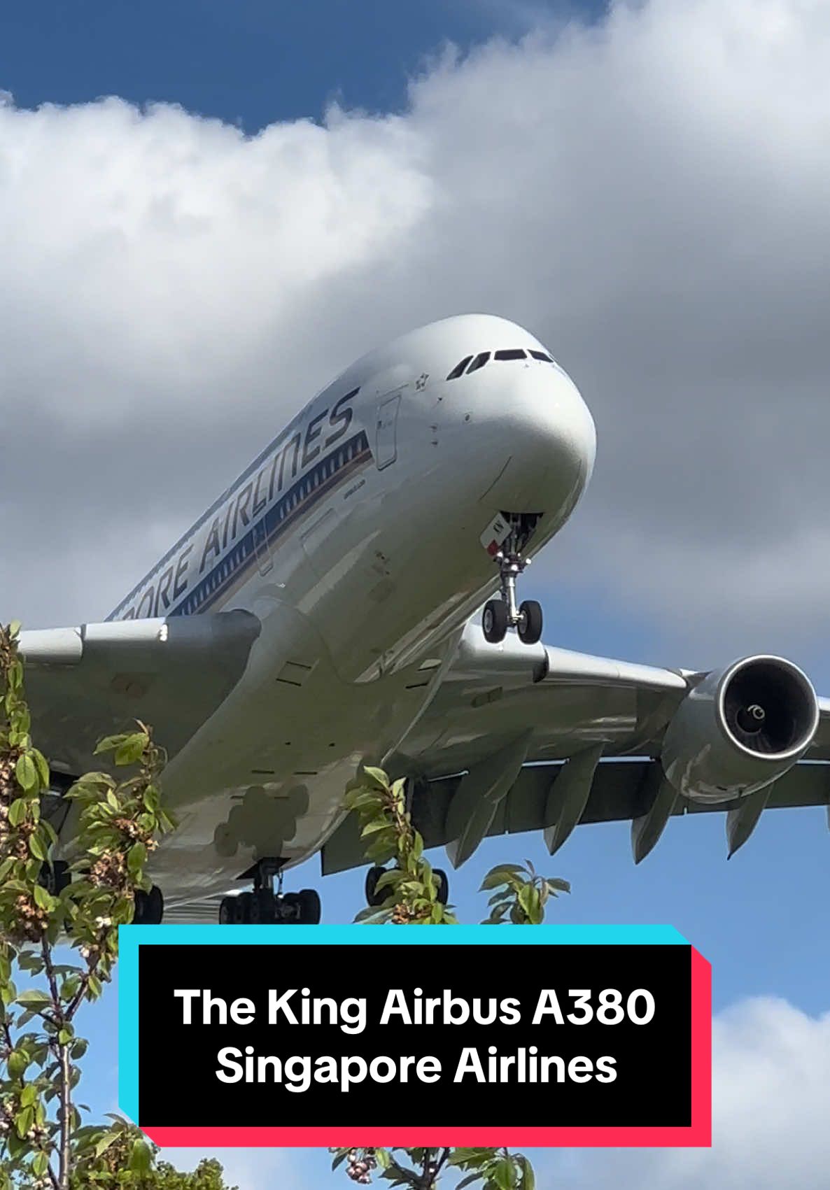 Singapore Airlines Airbus A380 Close up landing! 😍✈️ #airbus #aviation #airbusa380 #airplane #landing #airport #heathrow #fyp