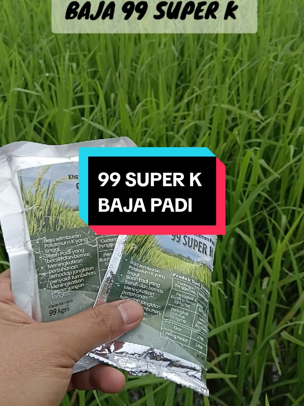 BAJA PADI 99 SUPER K CARA GUNA UMUR PADI 60 HARI SAMPAI 85 HARI JENIS SEMBURAN. UNTUK GENG SAWAH BENDANG. PADI TANAM BOLEH PADI TABUR PON BOLEH  #padi #racun #pesawah #petani #baja #bendang #sawah 