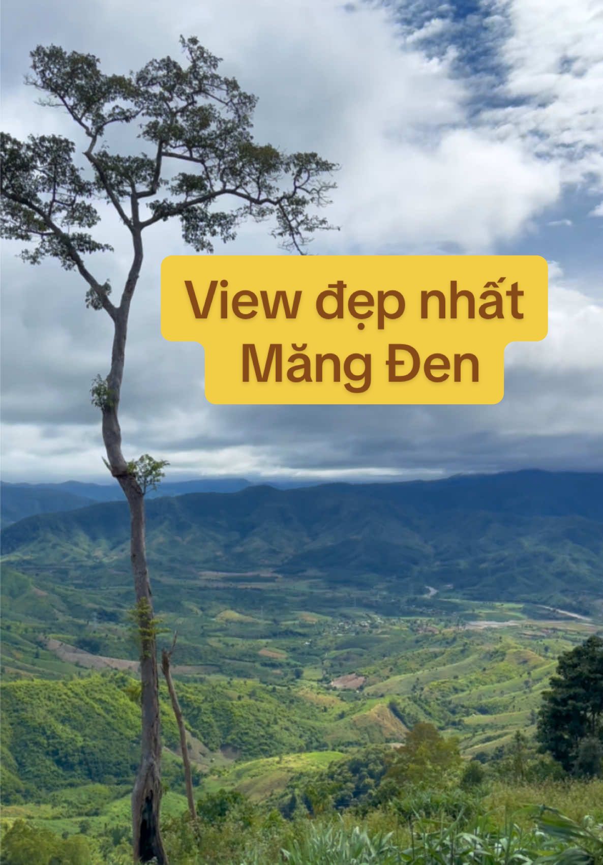 Măng đen, ngày mưa gió #xh #mangden #travel 