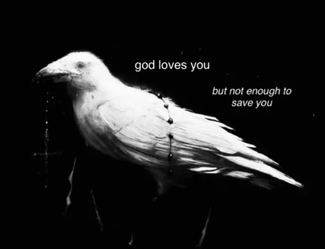 #webweaving #webweavingslideshow #poetry #poetrytok #Love #grief #heartbroken #lonely #fyp 