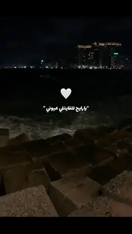 #📸 #foryou#gleembay #alexandria #نجاة_الصغيره #سان_ستيفانو #بدون_موسيقى 