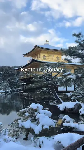Are you excited for the winter snow??  #japan #winter #fyp #fypage #kyoto #foryoupage #foryou #2024 #2025 #jp #kyotojapan #snow #osaka #december #tokyo #january 