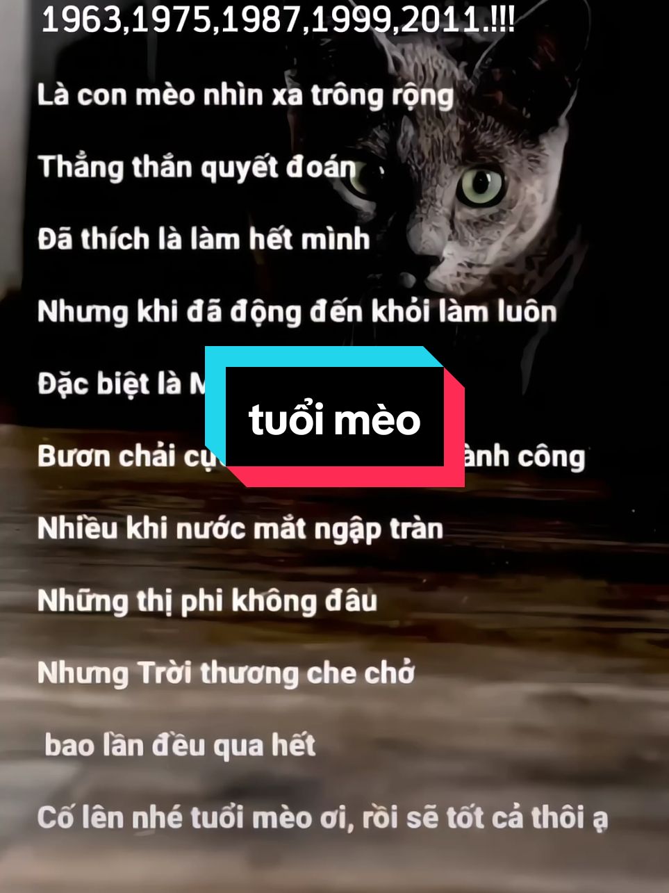 Cố lên nhé tuổi mèo ơi.Rồi sẽ ổn thôi ạ#12congiap #viraltiktok #anhthư #tuoimeo