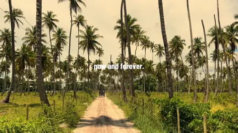♾️ #nowandforever #m83 #intrumental #praia #brasil #outro