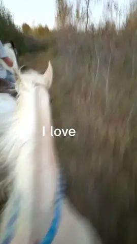 #CapCut only the horse no one else in the vids.. but i love my blonde ❤️ #draft #fyp 