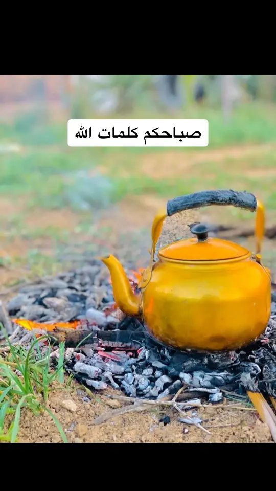 #قران_كريم 