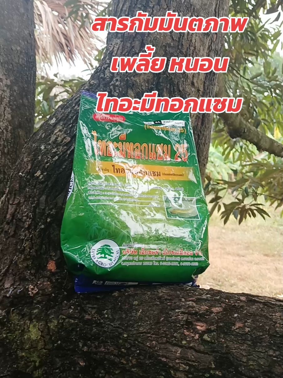 #แมลง #สารกำจัดแมลง #กําจัดศัตรูพืช #กําจัดแมลง #สารกําจัดและป้องกันแมลง #ไทอะมีทอกแซม 