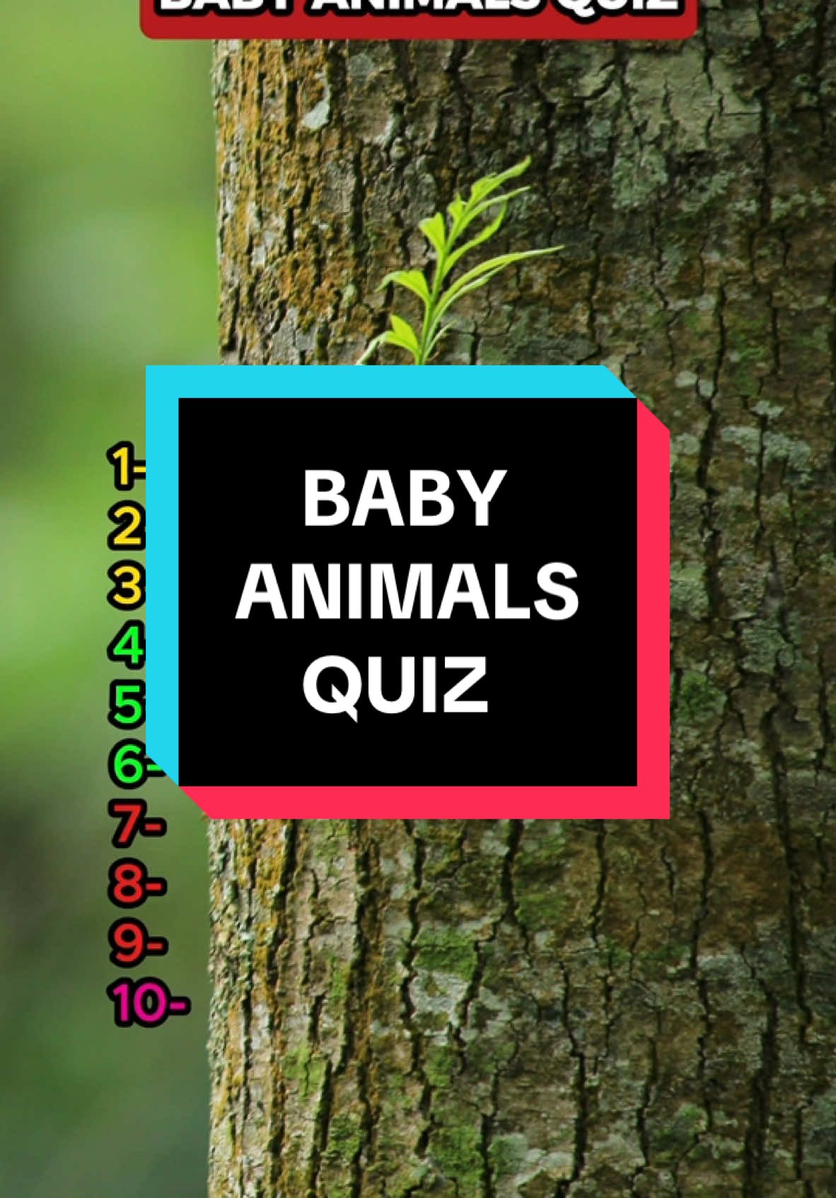 Name the animals by their baby picture ! #animal #animals #baby #quiz #trivia 