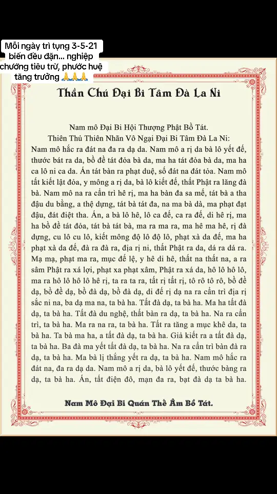 Mỗi ngày kiên trì tụng 3 -5 - 7 - 21 biến hoặc càng nhiều càng tốt . May mắn sẽ đến với bạn và gia đình🙏🙏🙏#chudaibitiengviet #linhungchudaibi