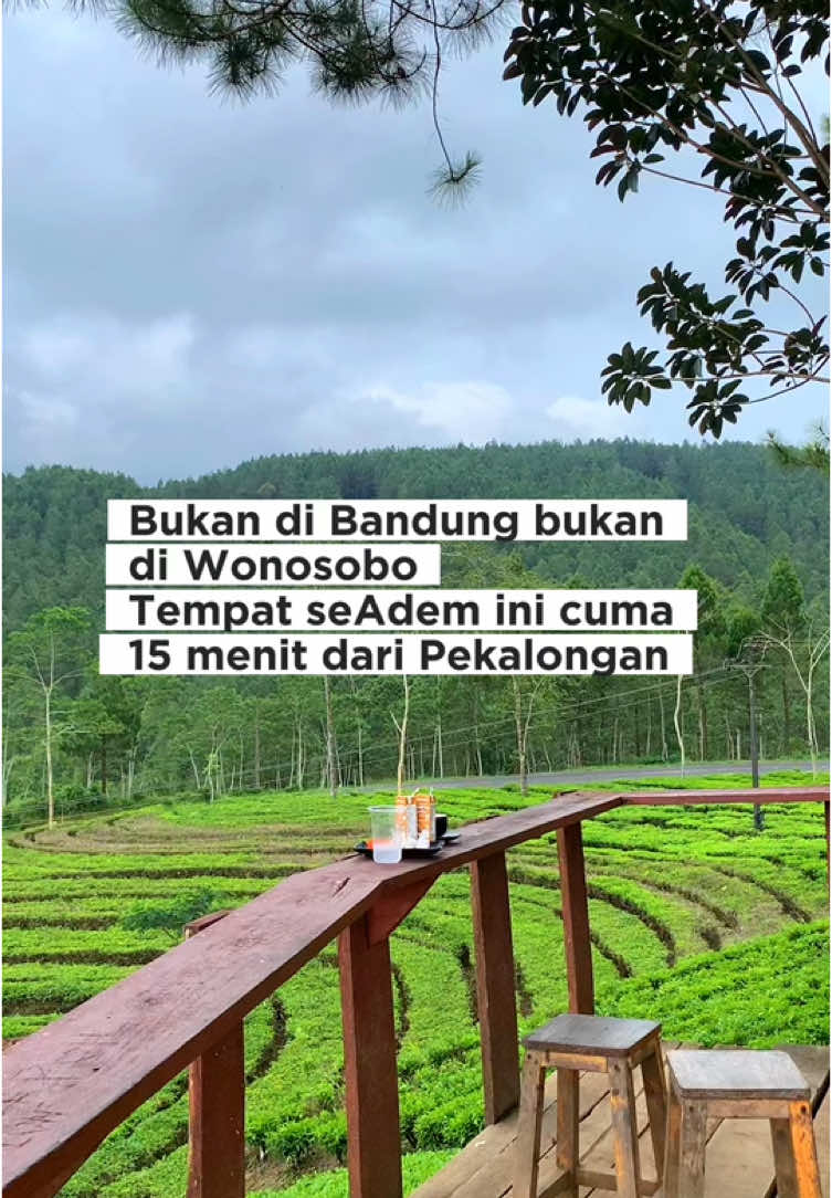 Cocok untuk Ngadem nih 🍃 Ada yang tau dimana? #fypage #foryoupage #banjarnegara #kalibening #banjarnegarastory #pekalongan #pekalongan24jam #pekalonganhits #kebuntehkertosari #kebuntehkertosaribanjarnegara #masukberanda 