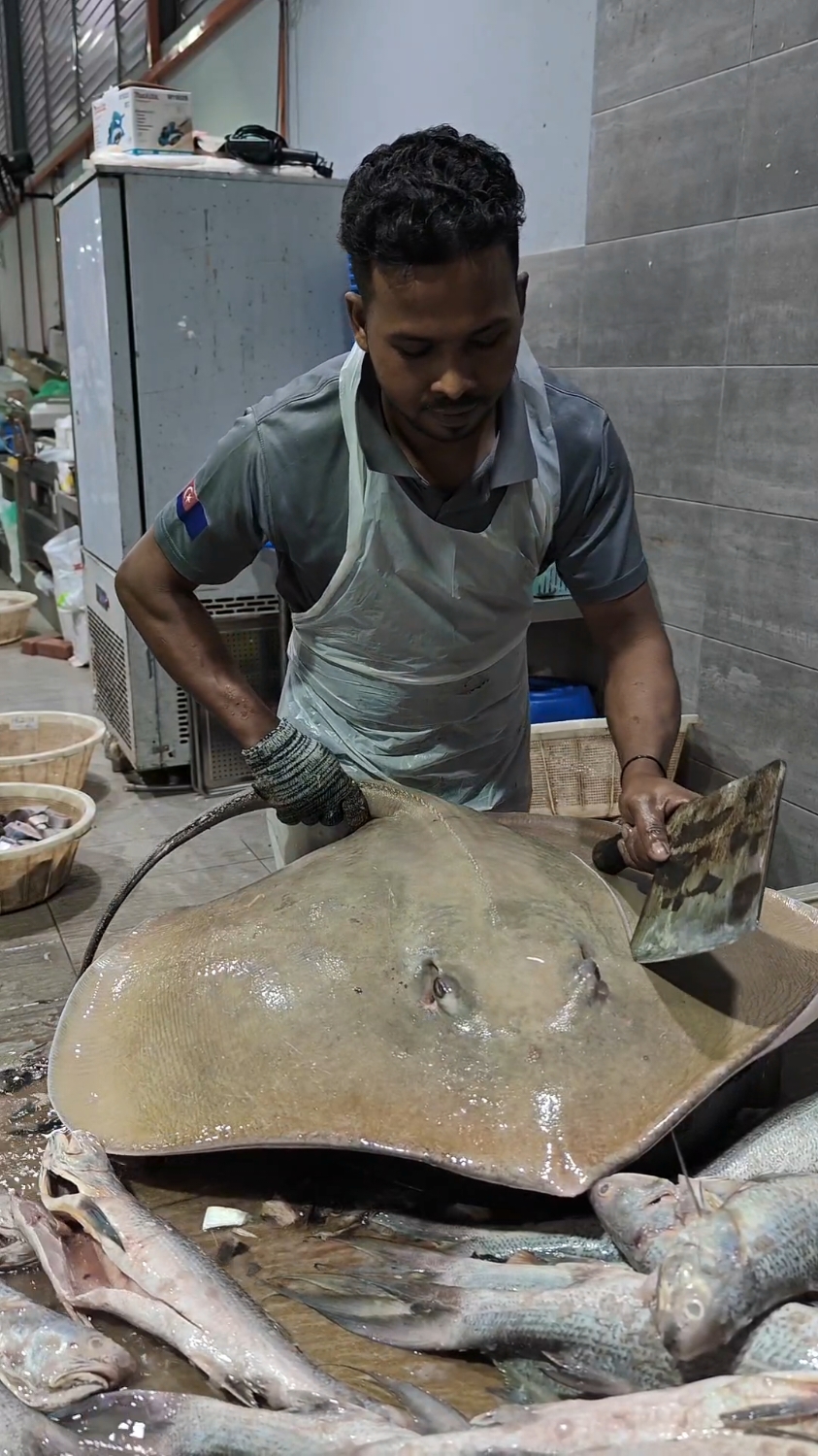 Angin yang meniup kencang dan ombak besar, telah menghalakan ikan raksasa dari laut ke tepi pantai #seafood #viral #fypシ゚ #trending #malayalam #fyp #ikan #seamonster #fish 