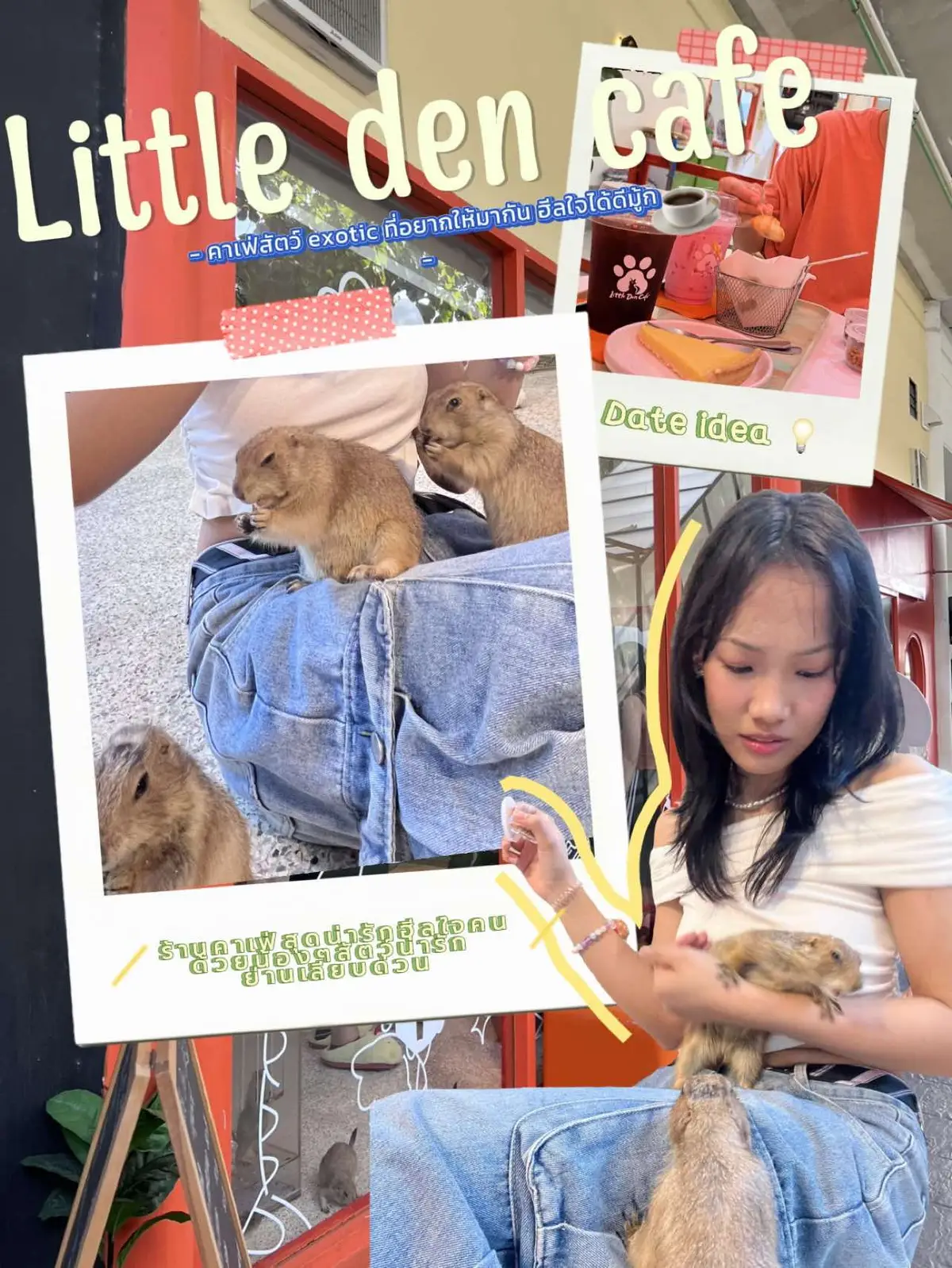 @littleden.cafe ใครอยากหากิจกรรมหาทำฮีลใจ💖ไปเดตกับแฟน หรือหาทำกับเพื่อนขอแนะนำที่นี่เลย      คิดเอาแฟนของเค้าตอนแรกบอกว่า ไม่กล้าเล่น กลัว ขอดูพอ แต่ผลสุดท้ายทั้งแฟนและเราโดนน้องๆตกสุดๆ น้องๆน่ารักมาก ป่วนมากเข้าไปมีแต่รอยยิ้มและเสียงหัวเราะ จากไม่กล้าเล่นกลายเป็นไว้มากันอีกนะ❣️ 💡 ข้อแนะนำ: เค้าแนะนำให้ทักไปจองรอบกับทางร้านในL!ne สามารถกดลิงค์ได้ที่หน้าของร้าน อจ : littledencafe  🙉สิ่งน่าสนใจ: ที่ตั้งของร้านคือ โครงการ CDC ถ้าเล่นกับน้องๆเสร็จก็สามารถเดินเล่นต่อได้เลย ที่นี่เค้าให้พาน้องหมาแมวมาเดินเล่นได้ด้วยนะ มีร้านอาหาร คาเฟ่ เยอะแยะมากๆ สามารถหาทำต่อได้เลย #​ติดเทรนด์ #​สถานที่เดทในกรุงเทพ   #​คาเฟ่สัตว์  #​คาเฟ่รามอินทรา  #​เลียบด่วน #Lemon8 #หาทำ