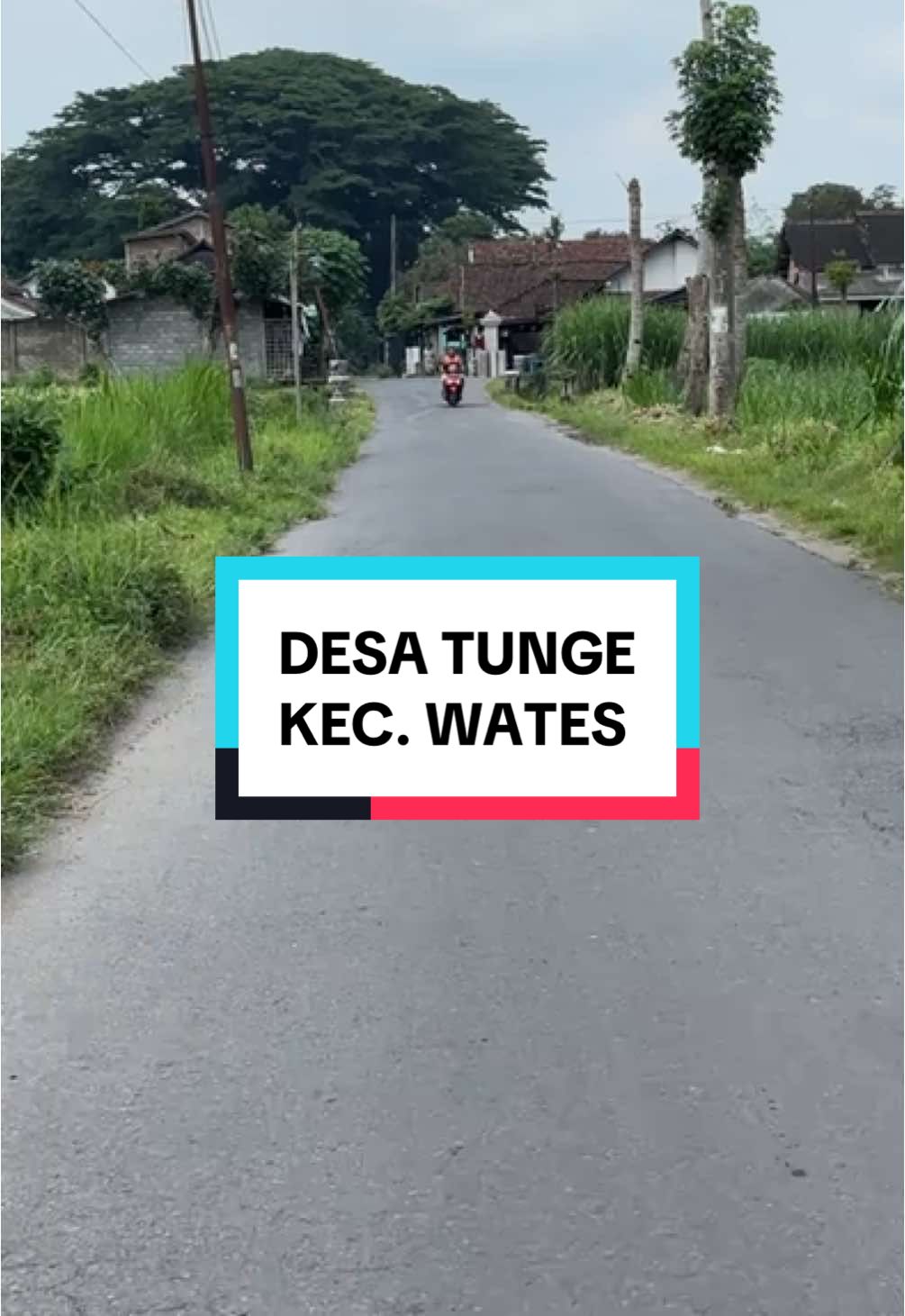 Melintasi wilayah Desa Tunge Kecamatan Wates Kabupaten Kediri. #kedirijalanjalan #kediri 