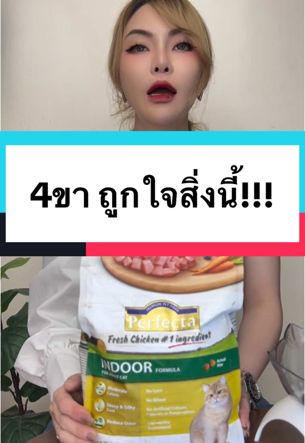 #Perfecta #PerfectabyBetagro #เพอร์เฟคต้า #ส่วนผสมอันดับ1จากเนื้อสดระดับhumangrade #ความเพอร์เฟคที่แทนกันไม่ได้#เบทาโกร #ทาสหมา #ทาสแมว #อาหารหมา #อาหารแมว#EnergiKuatTiapLangkah 