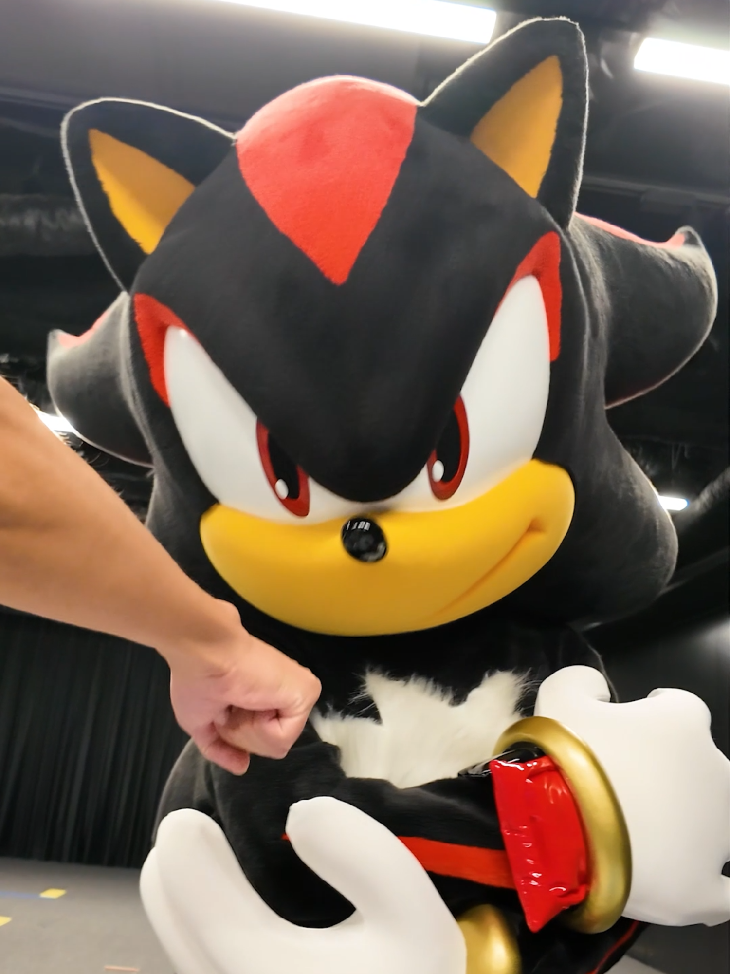 What's up bro! #シャドウ #shadow #ソニック #sonic #セガ #sega