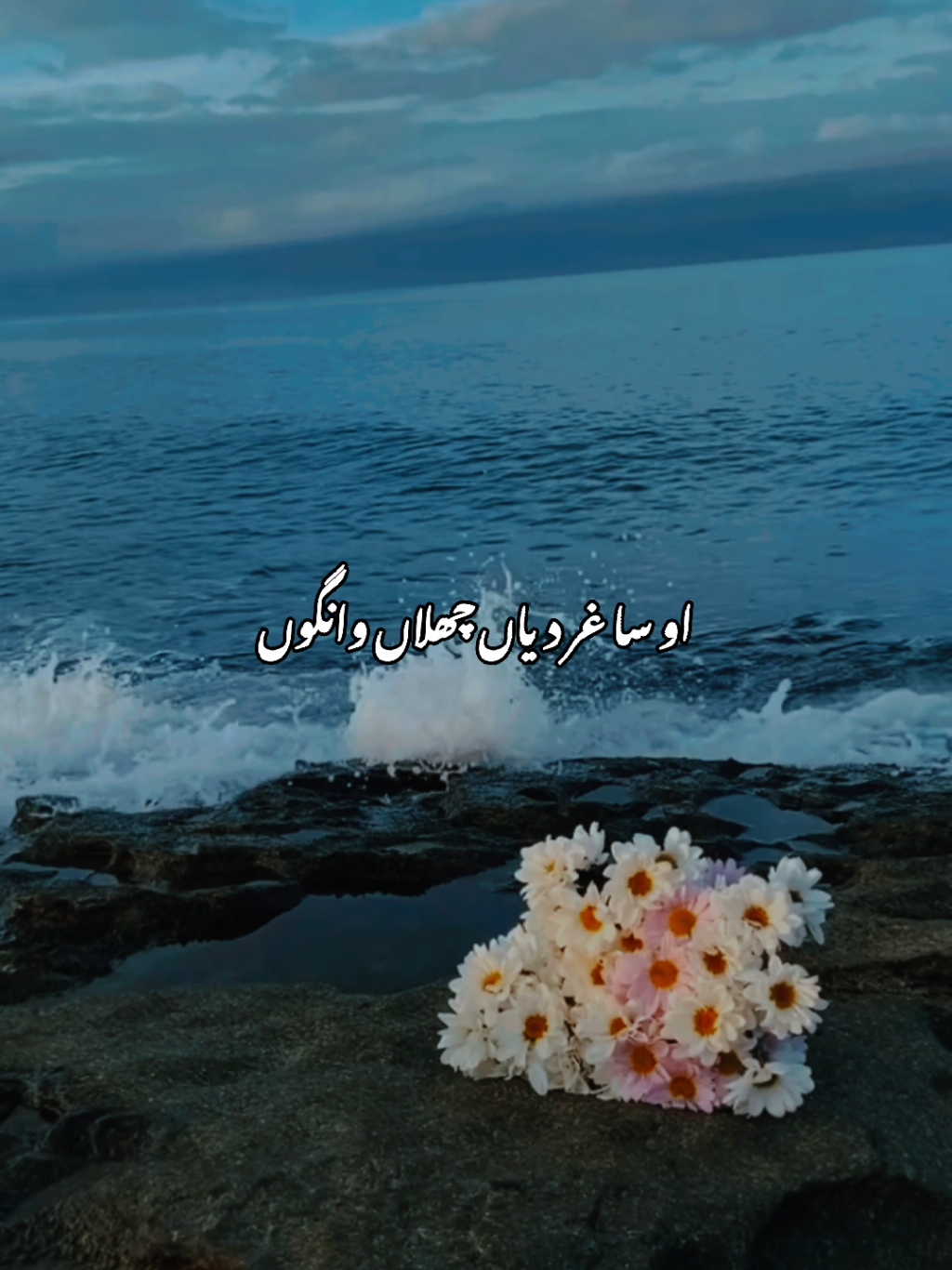 O saghar diyan chalan wangu❤️‍🩹🥀 #aesthetic #viral #viralaccount #grow #growmyaccount #status #trending #standwithkashmir #unfrezzmyaccount #foryoupage 