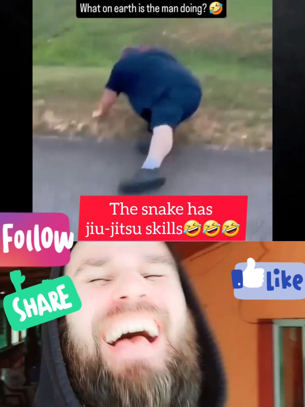 Top speed The snake has  jiu-jitsu skills🤣🤣🤣#stefancomedie #funny #foryou #fyp 