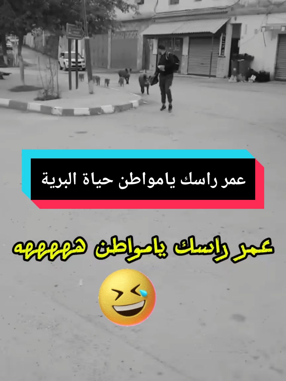 حياة البرية ههههه#الشعب_الصيني_ماله_حل😂😂 #حياة البرية#الشريعة #الجزائر #الشلفاوة_والحلاوة #المغرب🇲🇦تونس🇹🇳الجزائر🇩🇿 #بوجمعة الدهزاوي #بوجمعة لايف #بوجمعة #الجزائر🇩🇿 #البليدة 