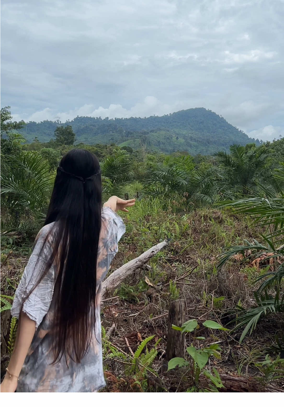 Pergi ke hutan mengambil ubi  (banung) 🤍